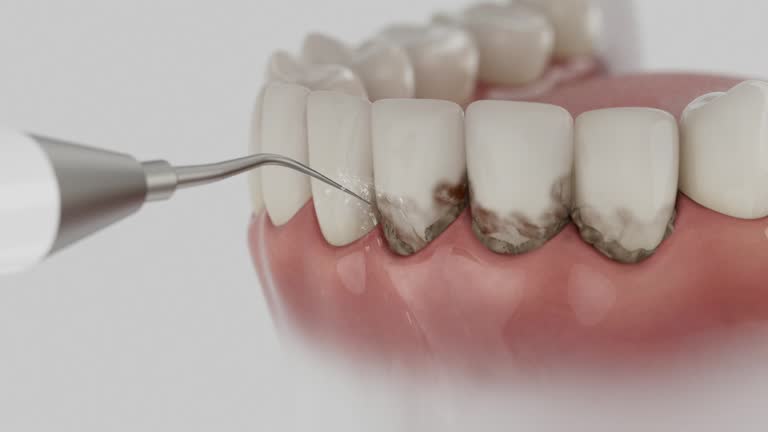 Reliable Dental contractor in Lake City, MN by Dentist Open Now